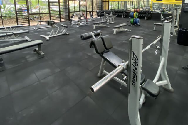 Image of weights at UNSW Fitness and Aquatic Centre