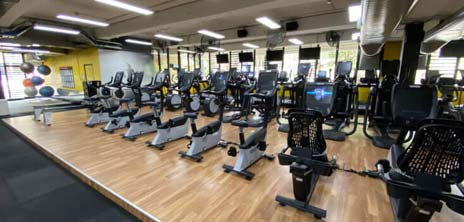 Image of the UNSW Fitness and Aquatic Centre cardio area showing bikes, elliptical trainers and treadmills