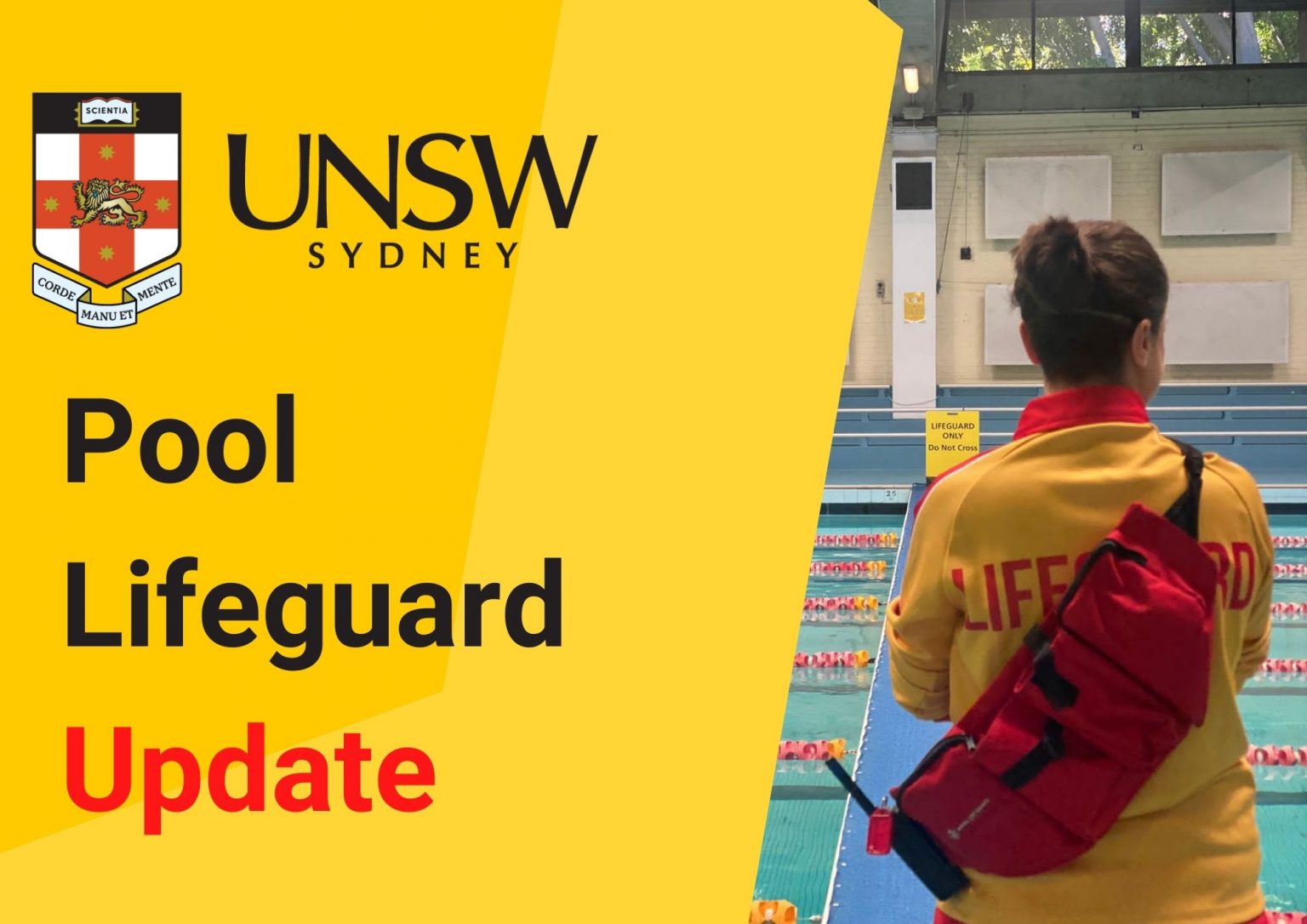 Pool Lifeguard Update - Flyers